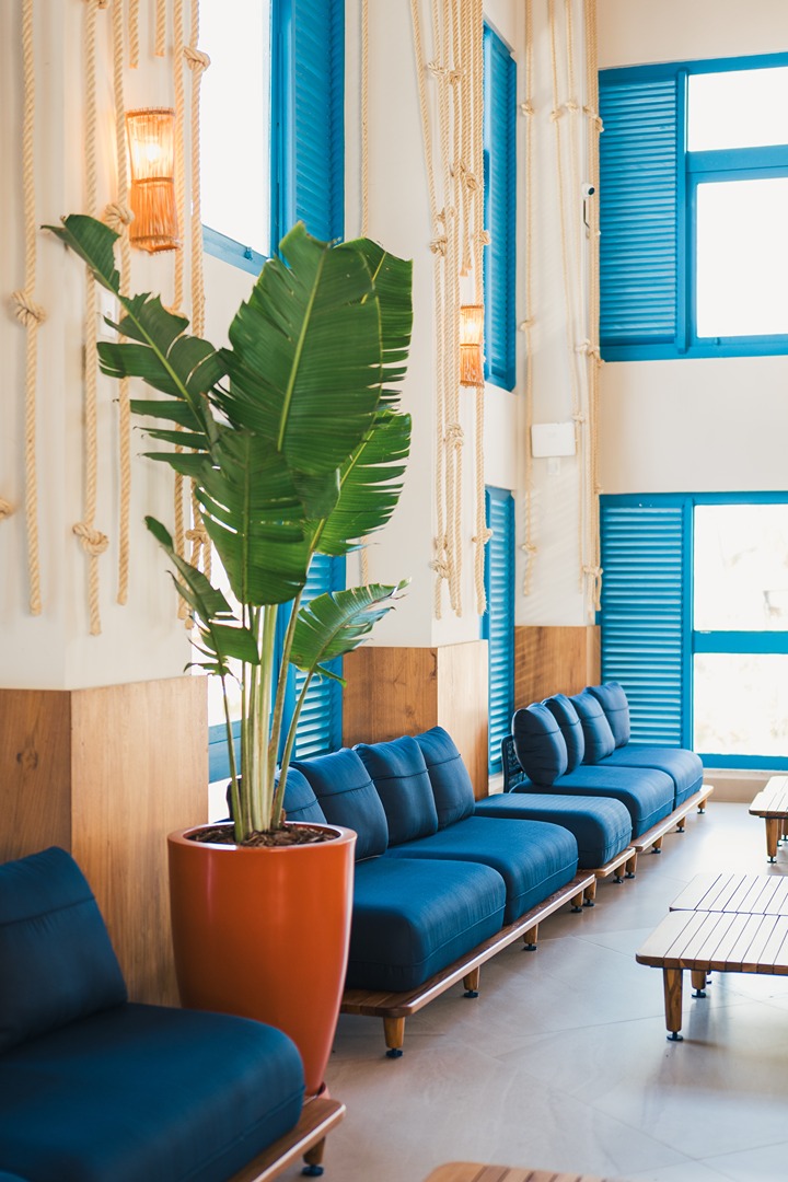 d9cc5177-3060-474c-b556-67a3479d1a2e_r_o